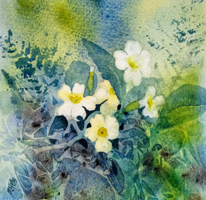 Watercolour Breaks