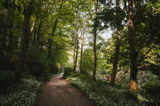 Walking Weekend