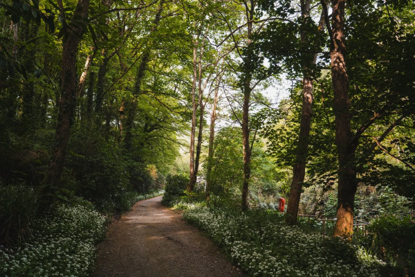 Walking Weekend