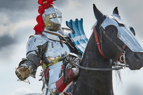 Meet... the Jousting Knight