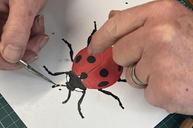 Creepy Crawly Collage Workshop with Trebah Garden