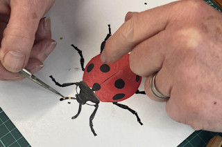 Creepy Crawly Collage Workshop with Trebah Garden