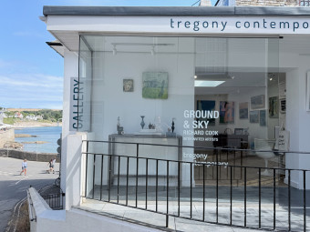 Meet... Judi Green, Tregony Contemporary