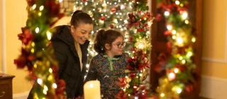 Festive performances at Trelissick