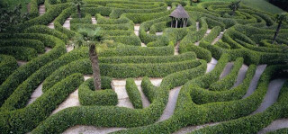 Get Creative with Colour at Glendurgan