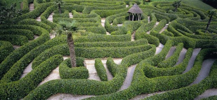 Get Creative with Colour at Glendurgan