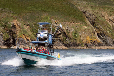 Spring Offer with Orca Sea Safaris