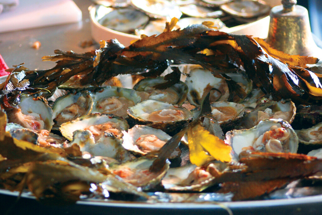 2022 Falmouth Oyster Festival