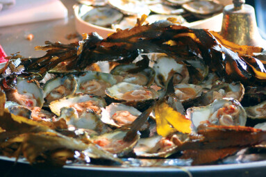 2022 Falmouth Oyster Festival