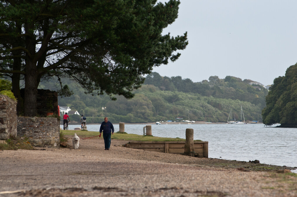 Devoran Circular Walk