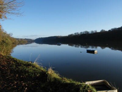 Malpas to Tresillian Walk