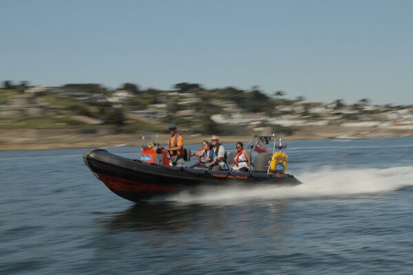 See Tall Ships Fireworks