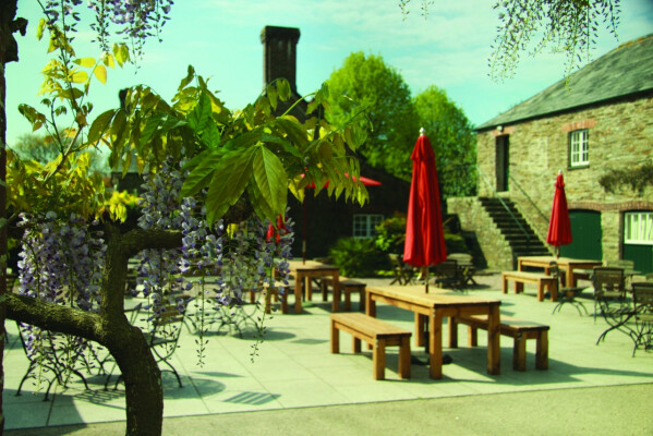 Meet the Maker: Loveday Gin at Trelissick