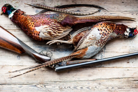 Game Cookery Coure at Philleigh Way