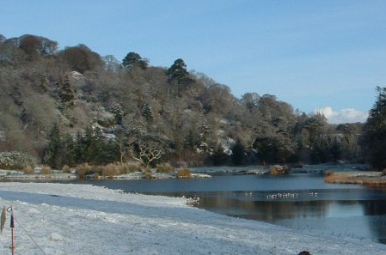 Save up to £1000 at The Vean this Christmas