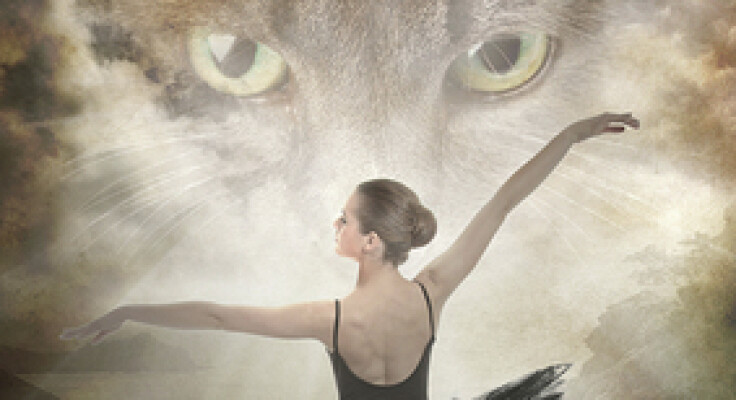 The Mousehole Cat & other Ballets