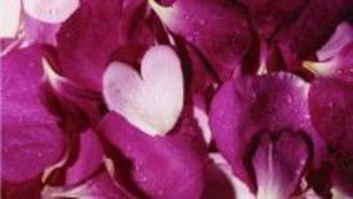 Valentines Dinner at Trelissick