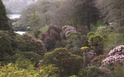 Garden Breaks at The Greenbank Hotel