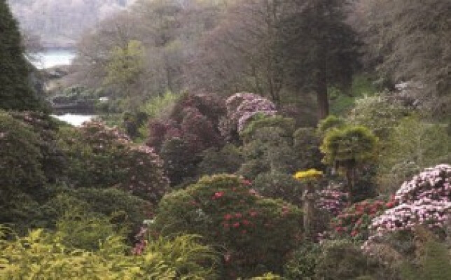 Garden Breaks at The Greenbank Hotel