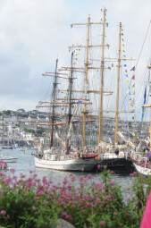 See the Tall Ships Up Close