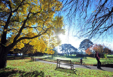 Secret Tour in The City