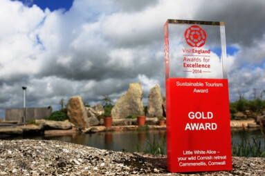 Little White Alice Strikes Gold!