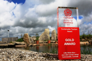 Little White Alice Strikes Gold!