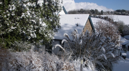 Christmas at The Valley