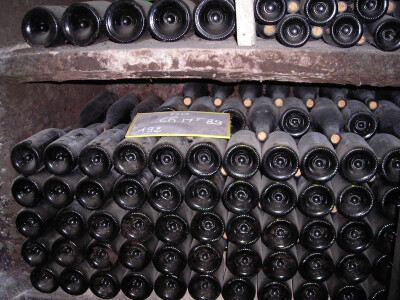 New Christmas Courses at Philleigh Way Cookery School