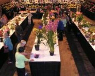 Falmouth Spring Flower Show