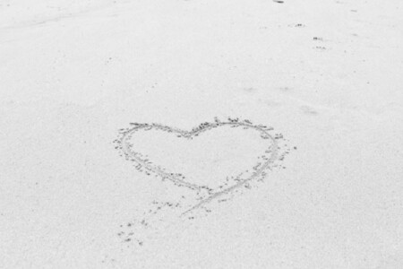 Valentine's Weekend at The Rosevine