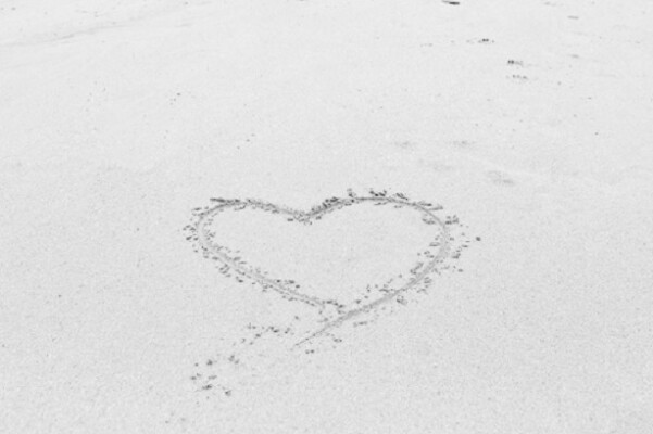 Valentine's Weekend at The Rosevine