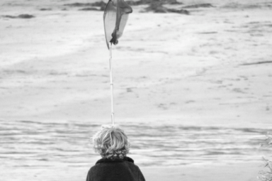 Half Term at The Rosevine