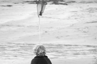 Half Term at The Rosevine