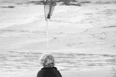 Half Term at The Rosevine