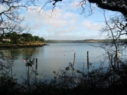 Creeks and Cliffs Walk