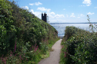 Roseland Ramble Walk