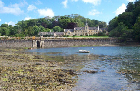Place Ferry: Tidal Disruption to Services