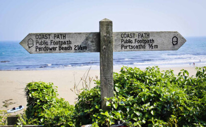 Easy Sundays at The Rosevine