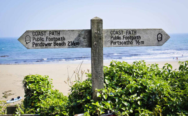 Easy Sundays at The Rosevine