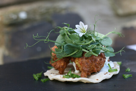 Vegetarian Cookery at Philleigh Way Cookery School