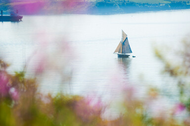 Fal River Festival Break at St Michael's Hotel