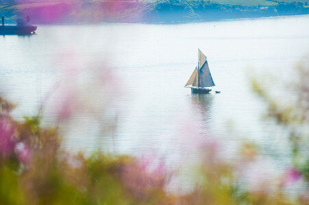 Fal River Festival Break at St Michael's Hotel