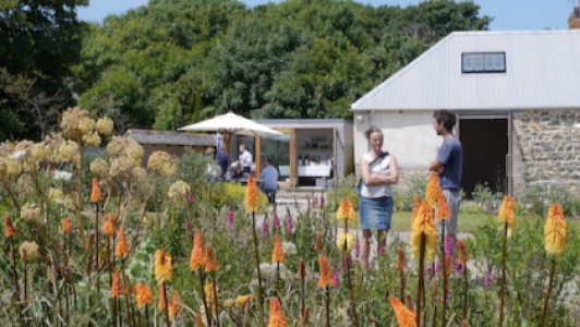 2015 Season Programme at Kestle Barton