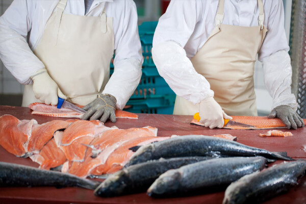 Taster Course - Fish Filleting at Philleigh Way
