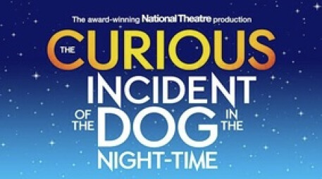 The Curious Incident of the Dog in the Night-Time