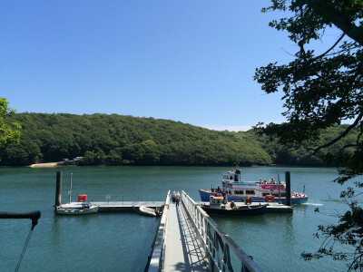 Enterprise Boats: Tidal Disruption to Services