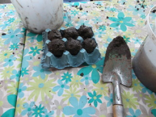 Make and Take Workshop - Seed Bombs
