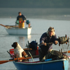 Falmouth Oyster Festival Break at St Michaels Hotel