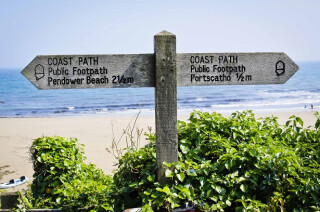 Early Spring Breaks at The Rosevine